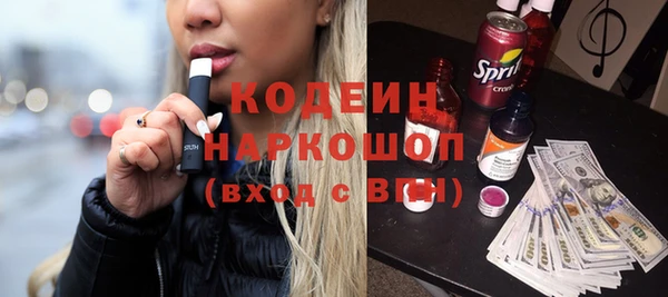 сатива Инсар