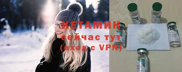 сатива Инсар
