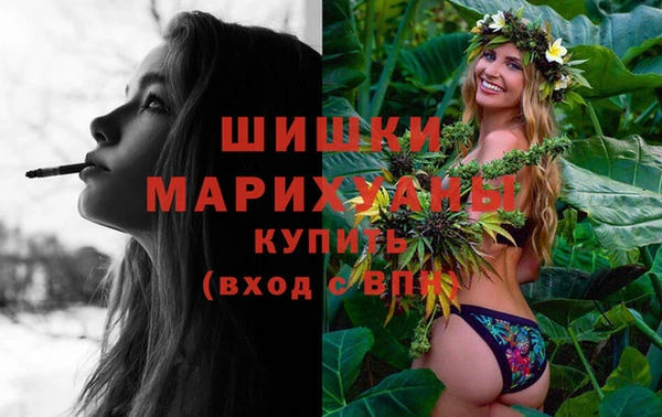 сатива Инсар