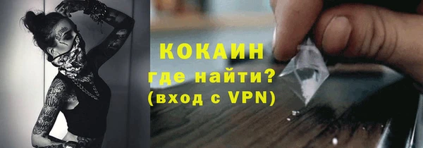 сатива Инсар