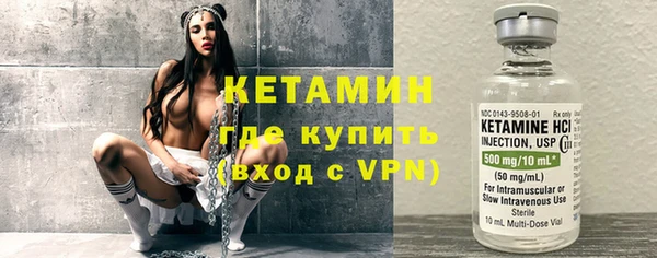 сатива Инсар