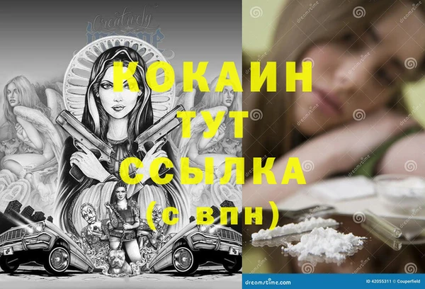 сатива Инсар