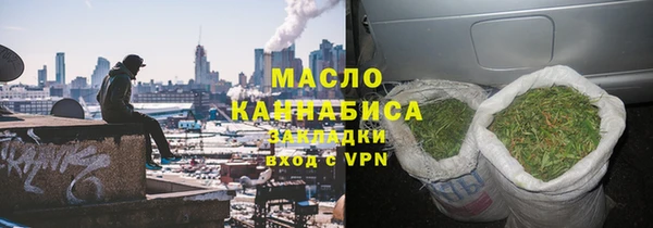сатива Инсар