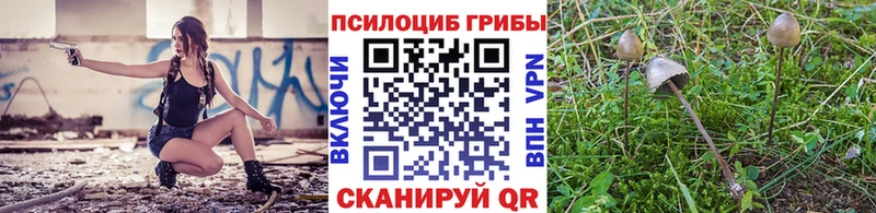 мега ONION  Арзамас  Псилоцибиновые грибы мухоморы 